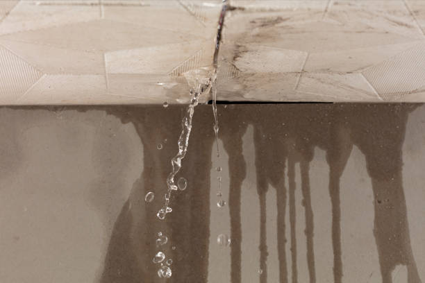 Professional Emergency Water Removal technician working in Terrell, TX